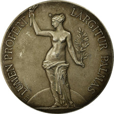 France, Medal, Société Industrielle du Nord de la France, 1896, AU(55-58)
