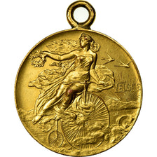 Switzerland, Medal, Vélo, Bezirksrennen Winterthur, 1899, AU(50-53), Copper