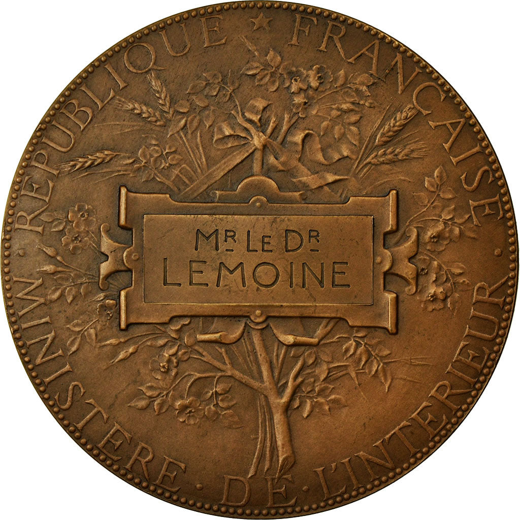 France, Medal, Protection du Premier Age, Ministère de l'Intérieur, Chaplain