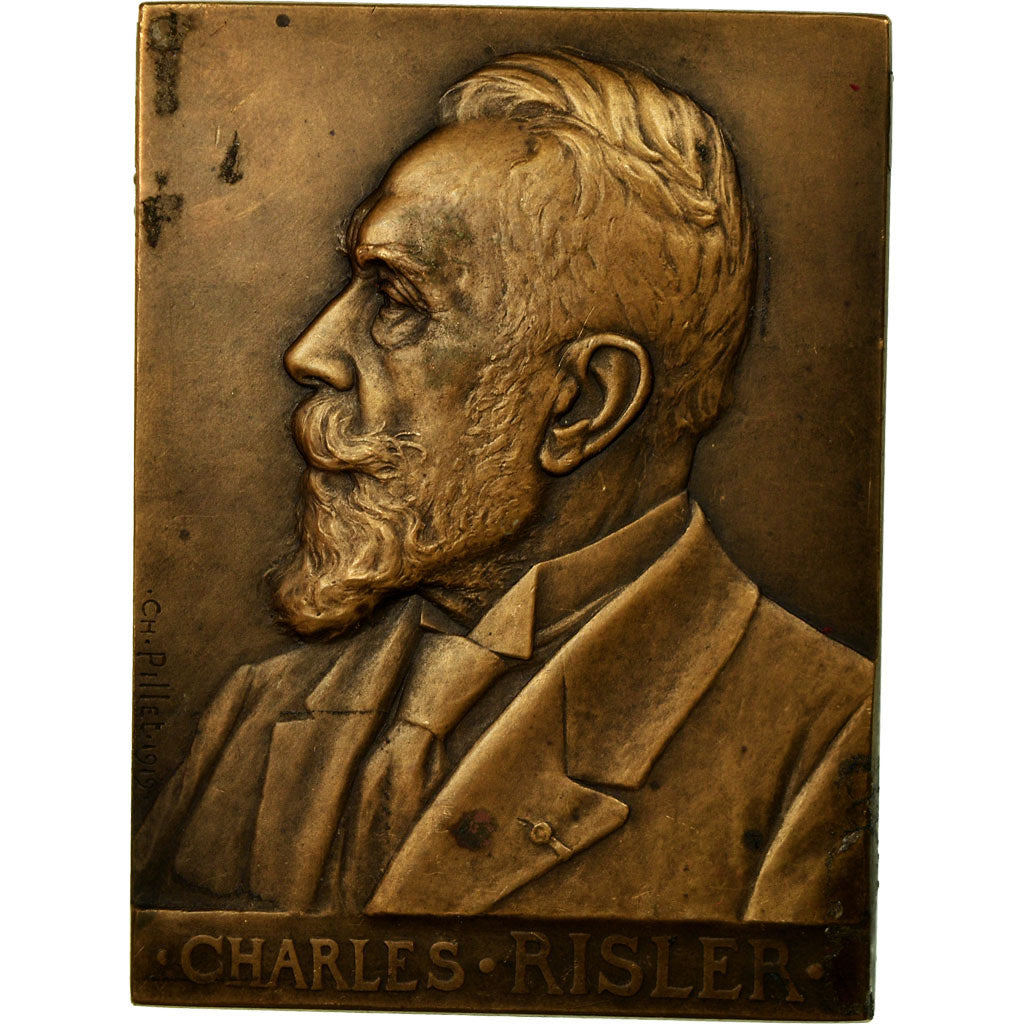 France, Medal, Politique, Charles Risler, 1919, Pillet, AU(50-53), Bronze