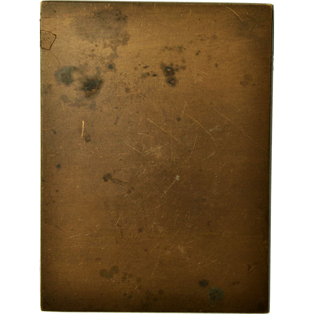 France, Medal, Politique, Charles Risler, 1919, Pillet, AU(50-53), Bronze