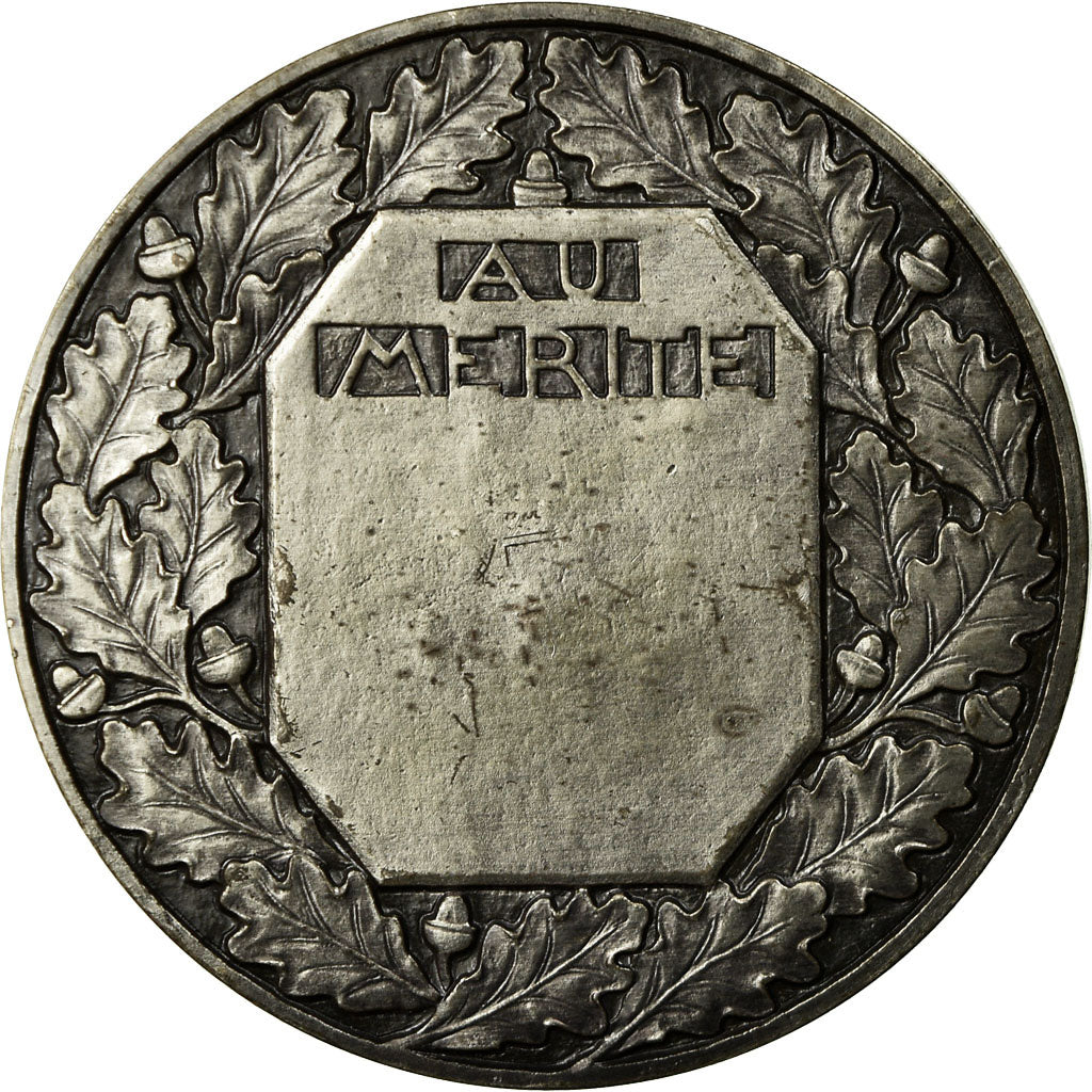 Francia, medalla, L'Artisanat, le Travail, 1988, Rasumny, EBC+, Bronce plateado