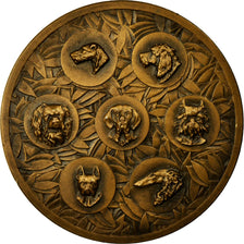 France, Medal, exposition Canine, Dreux, MS(63), Bronze