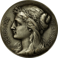 France, Medal, Marianne, République Française, Hercule, EF(40-45), Silvered