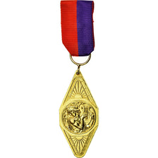 Frankreich, Prix de Musique, Medaille, Excellent Quality, Gilt Bronze, 54