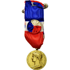 Francia, Médaille d'honneur du travail, medaglia, 1977, Eccellente qualità