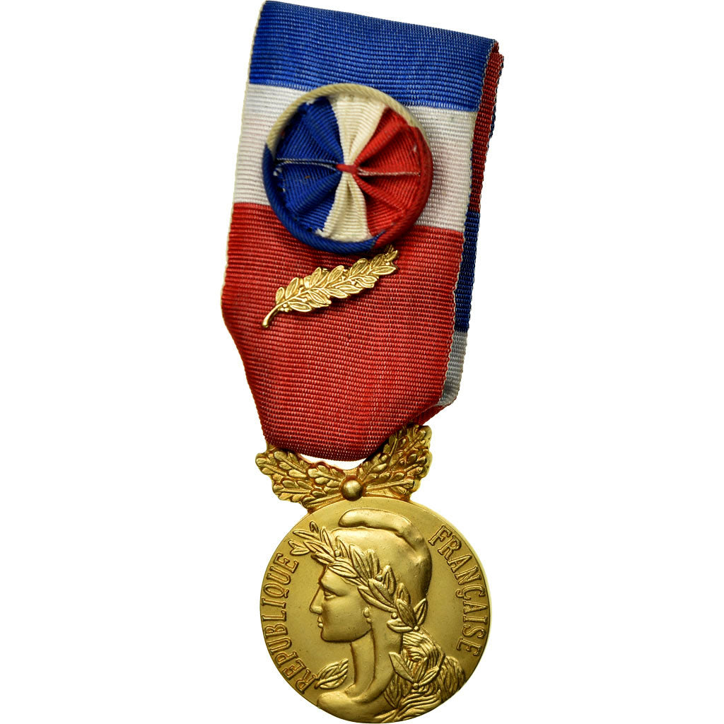 France, Médaille d'honneur du travail, Medal, 2010, Excellent Quality