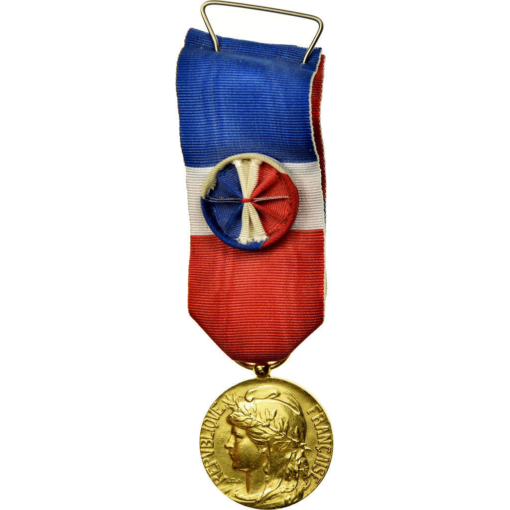 France, Médaille d'honneur du travail, Medal, 2008, Excellent Quality