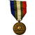 France, Union Nationale des Combattants, Médaille, Non circulé, Gilt Bronze