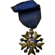 France, Ordre de la Santé Publique, Medal, Low quality, Silvered bronze, 42