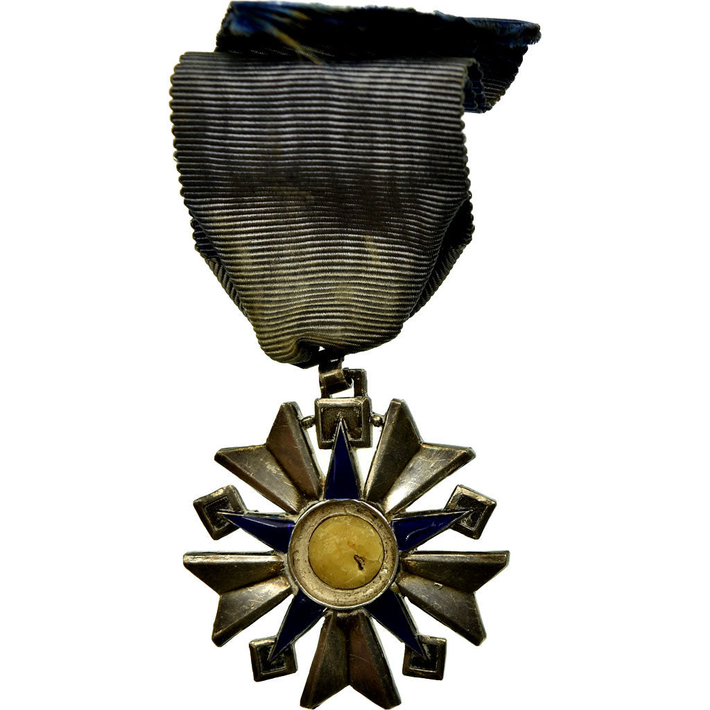 France, Ordre de la Santé Publique, Medal, Low quality, Silvered bronze, 42