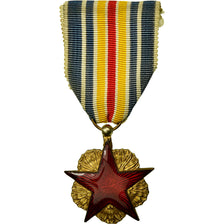France, Blessés Militaires de Guerre, Medal, 1914-1918, Excellent Quality, Gilt