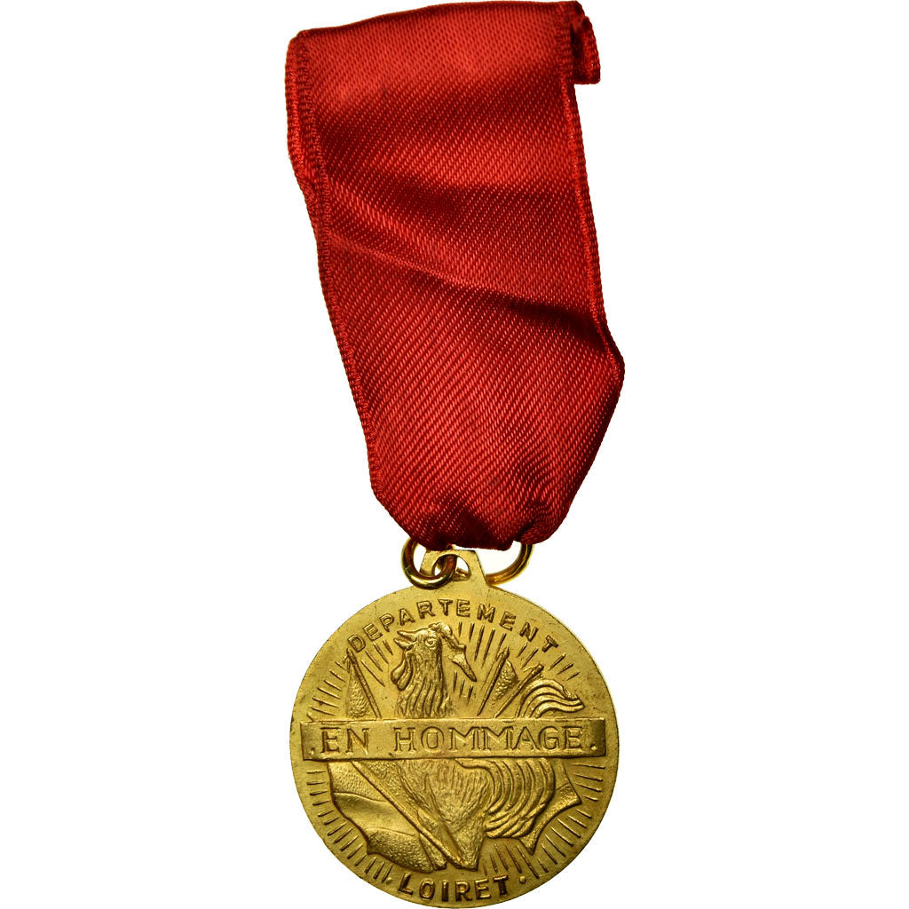 France, Hommage du Loiret aux Soldats de la Première Guerre Mondiale, Medal