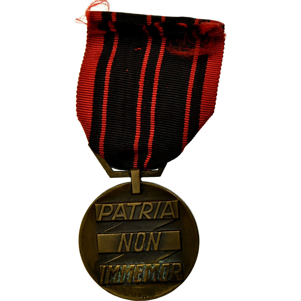 France, Résistance, Patria Non Immemor, Medal, 1939-1945, Excellent Quality