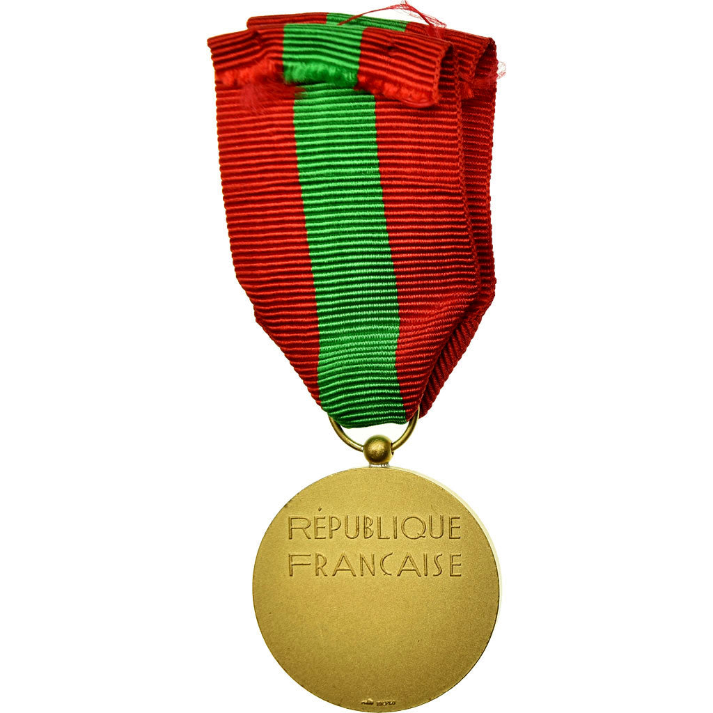 France, Médaille de la Famille Française, Medal, Uncirculated, Gilt Bronze, 33