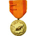 Frankrijk, Insigne du Réfractaire, Medaille, 1939-1945, Niet gecirculeerd, Gilt