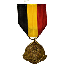 België, Ecaussinnes, Medaille, 1968, Niet gecirculeerd, Bronze, 32