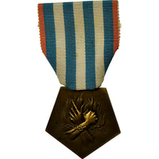 France, Déportation et Internement pour Faits de Résistance, Medal, 1940-1945