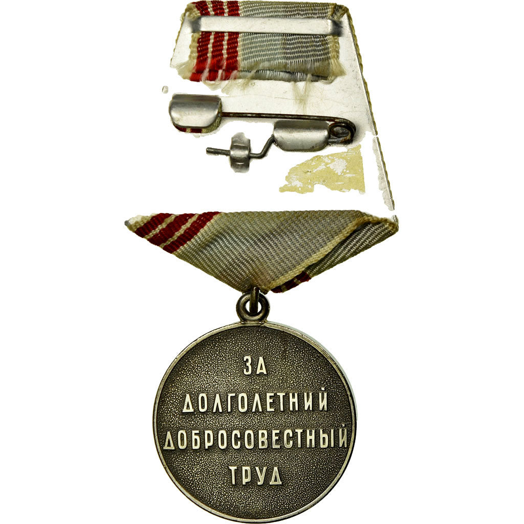 Russia, Vétérans du Travail, Medal, 1974, Excellent Quality, Silvered bronze