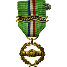França, Administrateur, Medal, Não colocada em circulação, Bronze Dourado