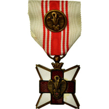 Bélgica, Croix Rouge, Donneurs de Sang Civils, Medal, Qualidade Excelente