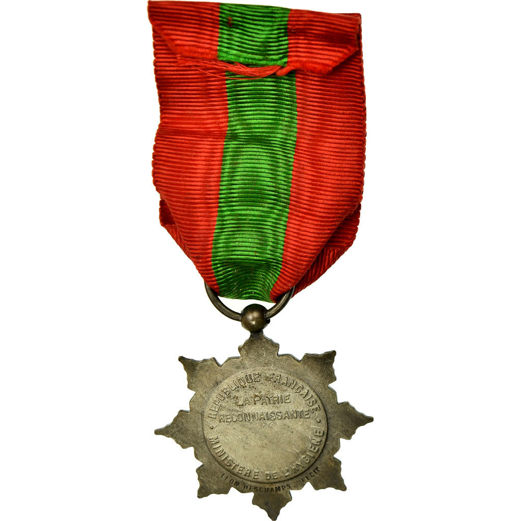 Francia, Médaille de la Famille Française, medaglia, Eccellente qualità