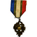 France, Mérite UNC, Droits des Combattants, Médaille, Excellent Quality