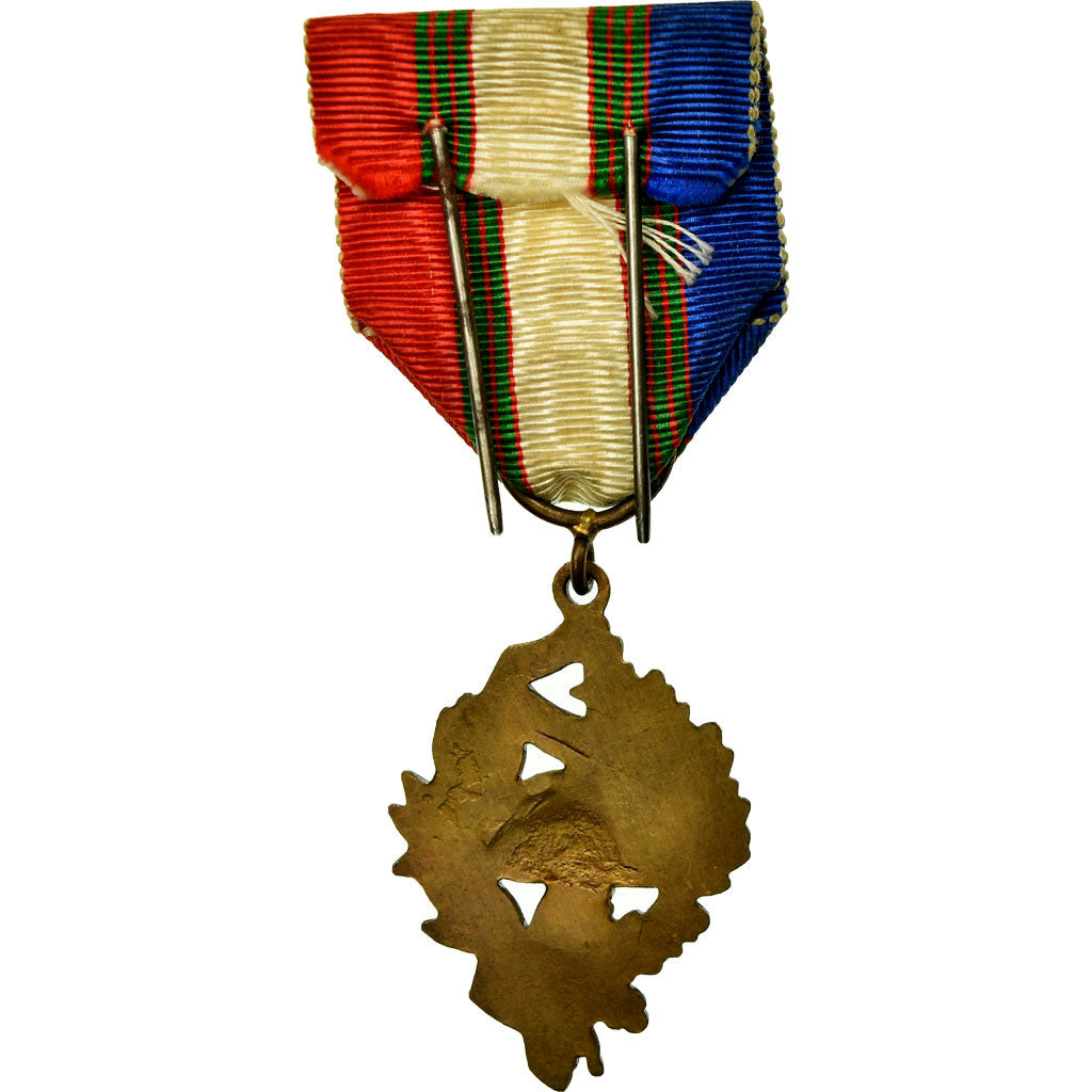 France, Mérite UNC, Droits des Combattants, Médaille, Excellent Quality