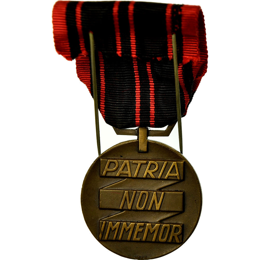 France, Résistance, Patria Non Immemor, Medal, 1940, Excellent Quality, Bronze