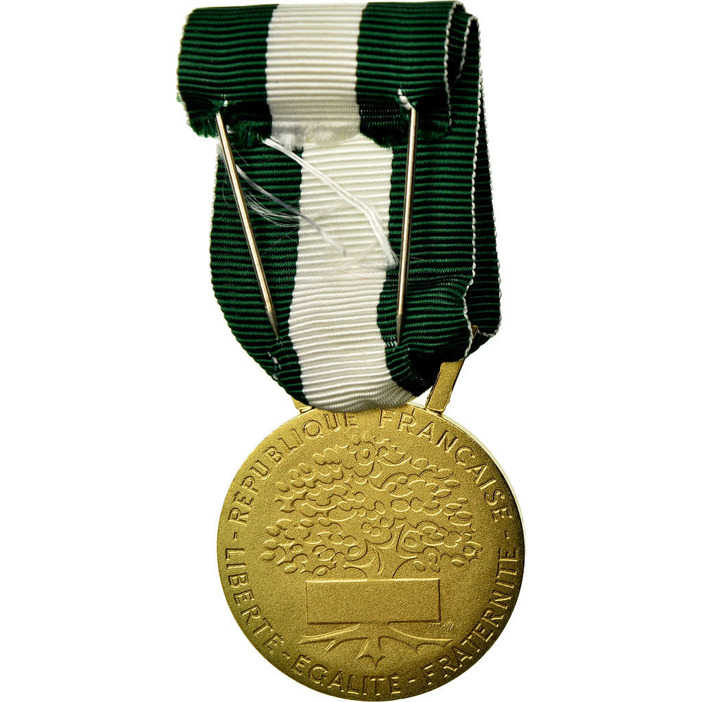 Francia, Médaille d'honneur communale, régionale et départementale, medalla