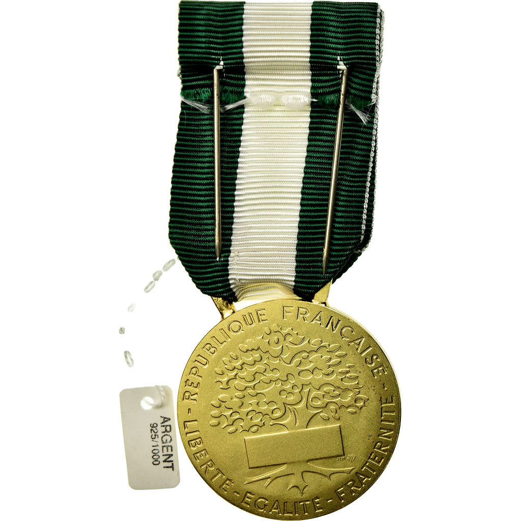 France, Médaille d'honneur communale, régionale et départementale, Medal