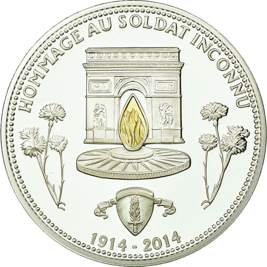 France, Medal, Hommage au soldat inconnu, 2014, MS(65-70), Silver