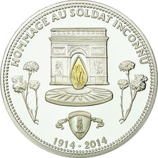 France, Medal, Hommage au soldat inconnu, 2014, MS(65-70), Silver