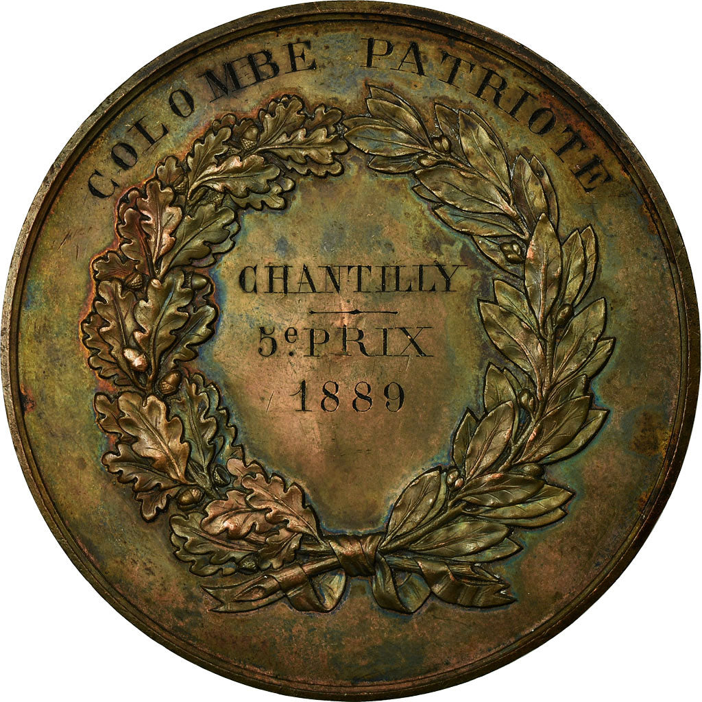 France, Médaille, Luttes Colombophiles, Colombe Patriotique, Chantilly, 1889