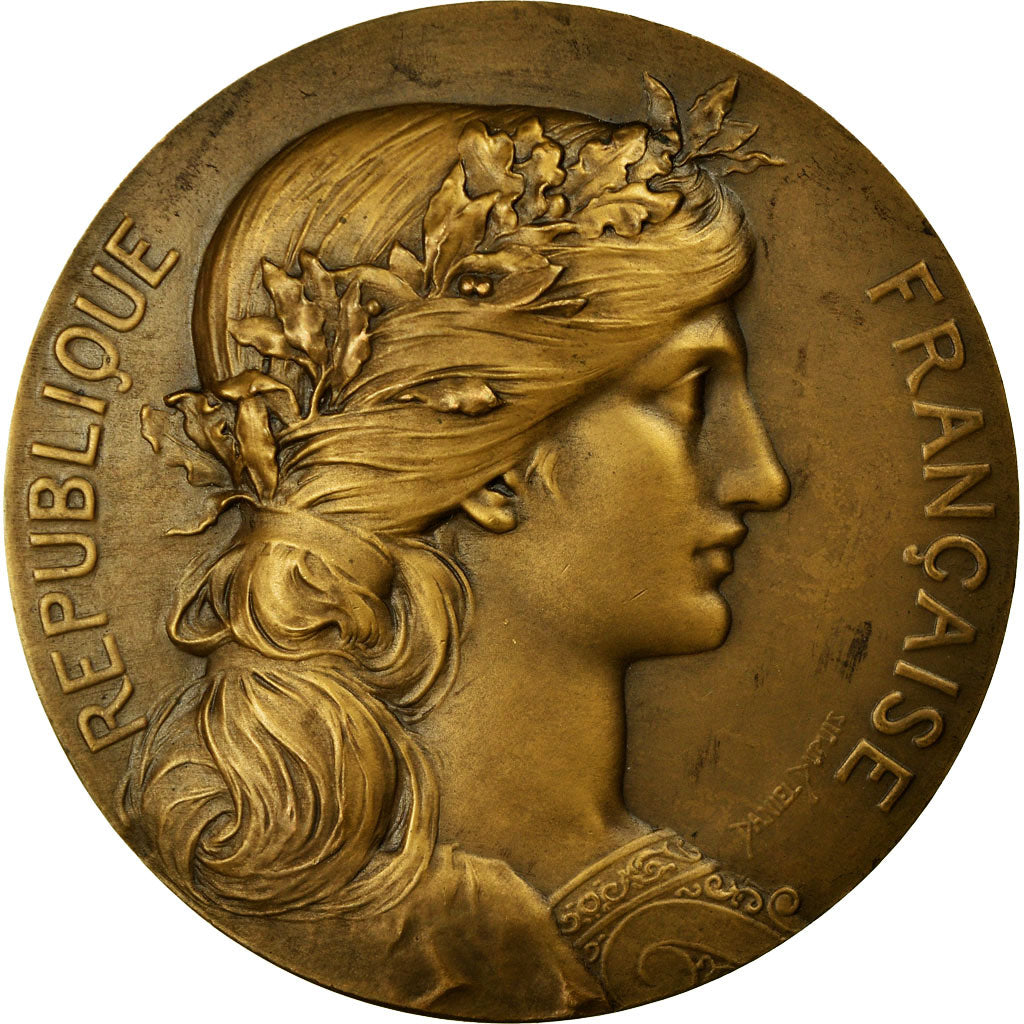 France, Medal, Office Nationale des Pupilles de la Nation, Dupuis.D, MS(63)