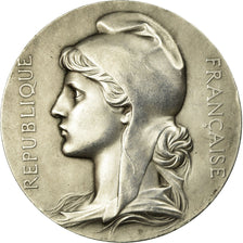France, Medal, Conseil Général de la Seine, 1919, Chaplain, MS(60-62), Silver