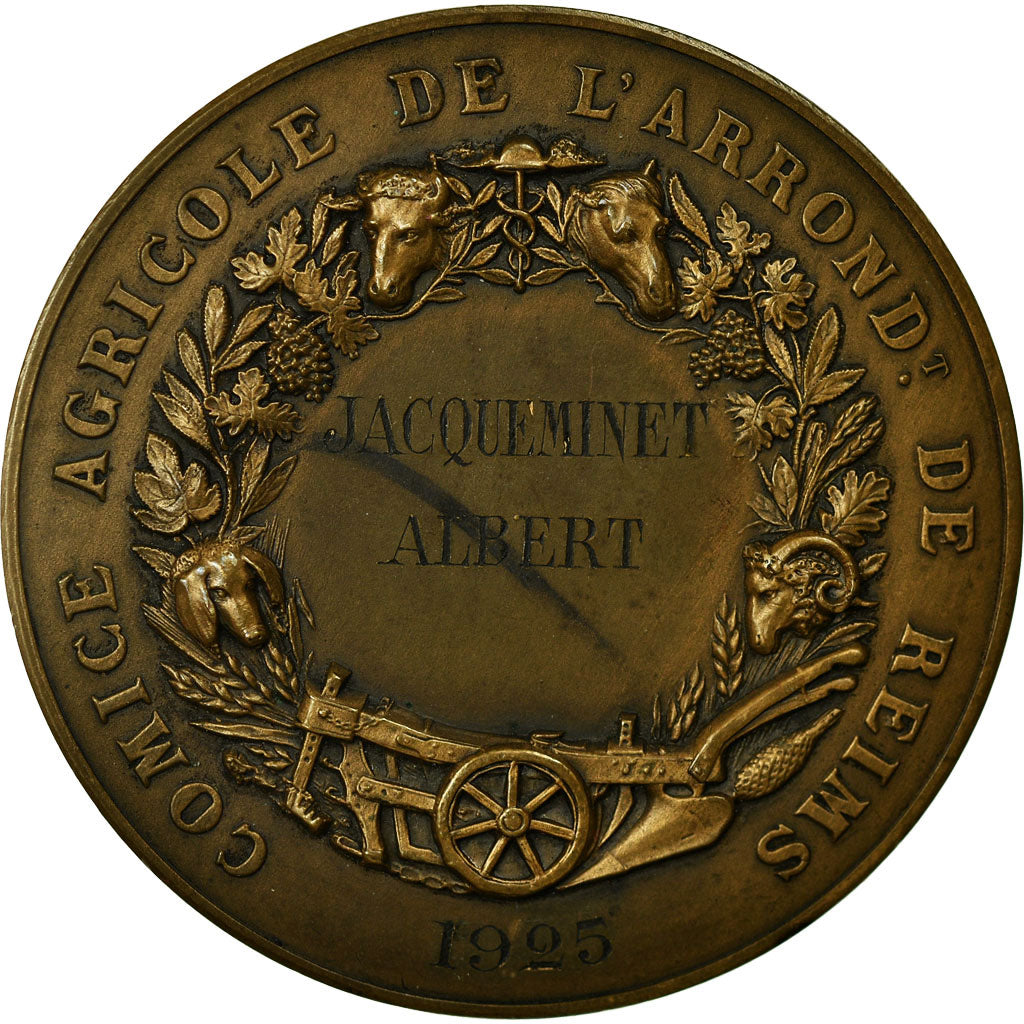 Francia, medaglia, Comice Agricole de Reims, Olivier de Serres, 1925, Oudiné