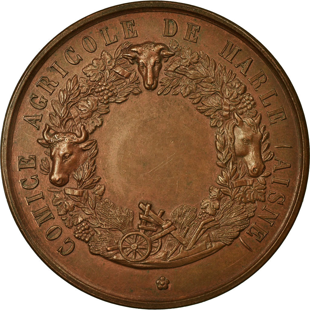 France, Medal, Comice Agricole de Marle (Aisne), MS(60-62), Copper