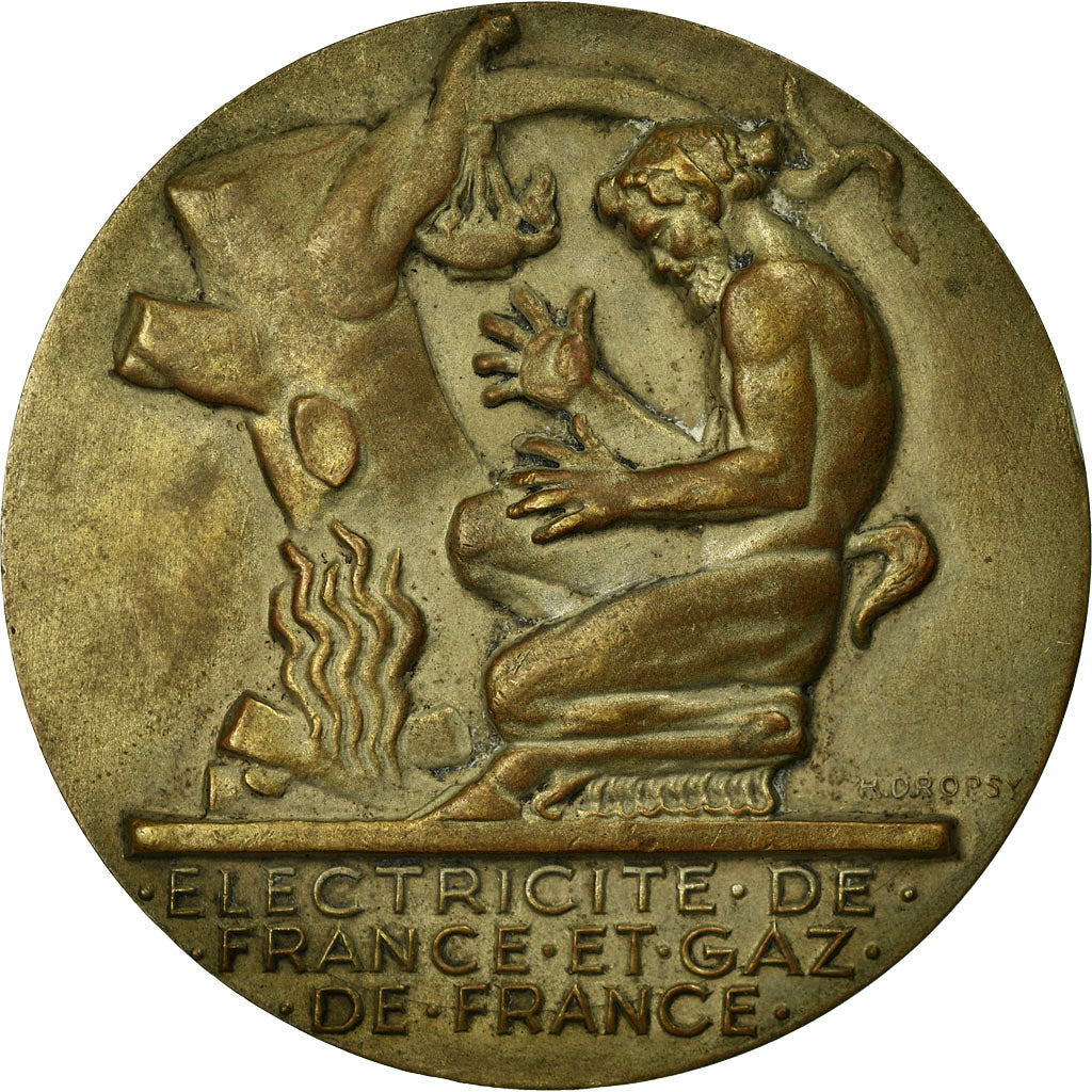 Francia, medaglia, Électricité de France et gaz de France, Dropsy, SPL-
