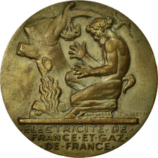 Francia, medaglia, Électricité de France et gaz de France, Dropsy, SPL-