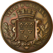 França, Medal, Beaux-Arts appliqués à L'Industrie, Orléans, 1876, MS(60-62)
