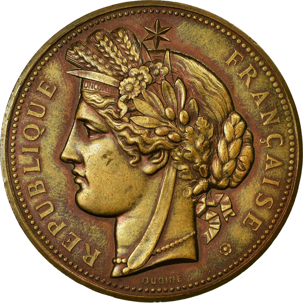Francia, medaglia, Exposition universelle de Paris, 1878, Oudiné, SPL, Bronzo