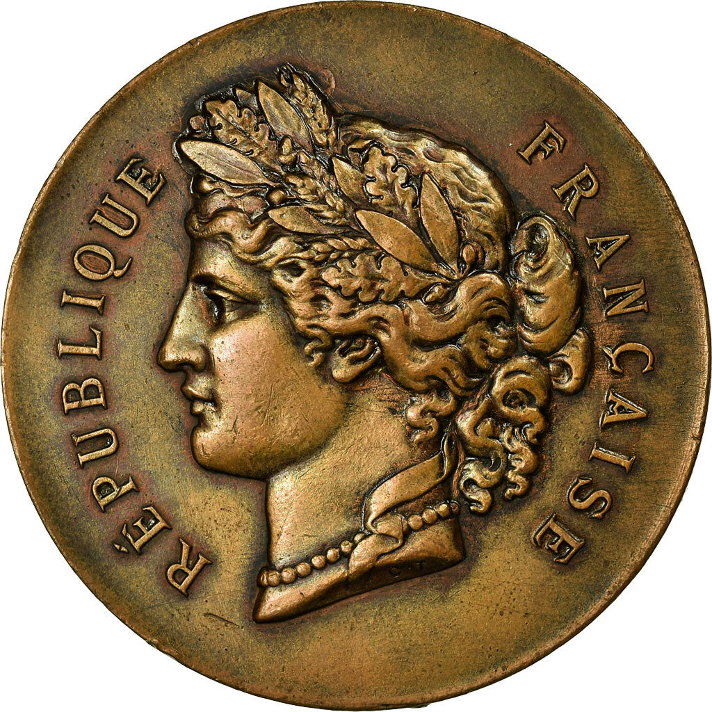 França, Medal, Société d'Agriculture de Lisieux, 1896, AU(55-58), Bronze