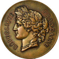 França, Medal, Société d'Agriculture de Lisieux, 1896, AU(55-58), Bronze