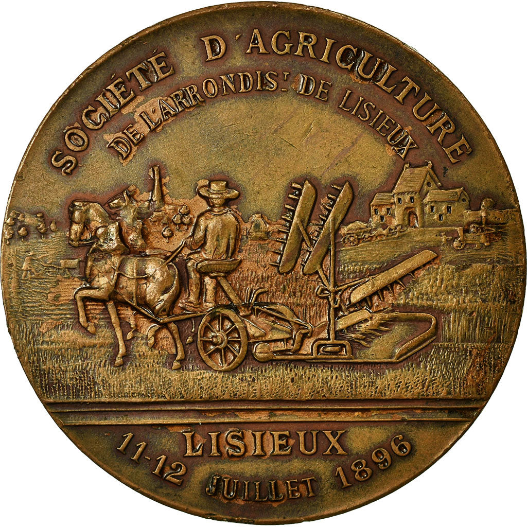França, Medal, Société d'Agriculture de Lisieux, 1896, AU(55-58), Bronze