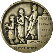 Francia, medalla, Art Déco, Chambre de Métiers du Nord, Dautel, SC, Plata