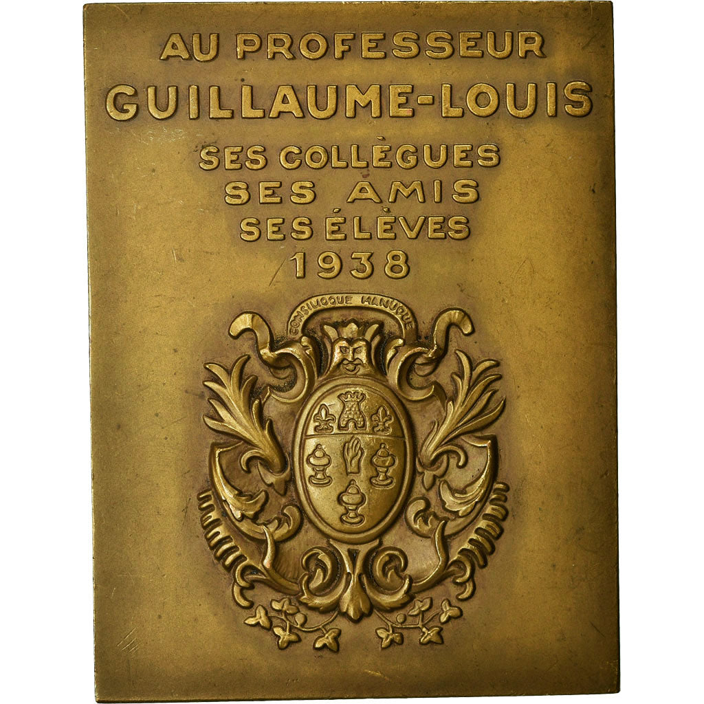 France, Médaille, Médecine, Professeur Guillaume-Louis, 1938, .Bazin, SPL