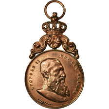 Belgium, Medal, Léopold II, Inauguration de la Maison Communale d'Angre, 1900