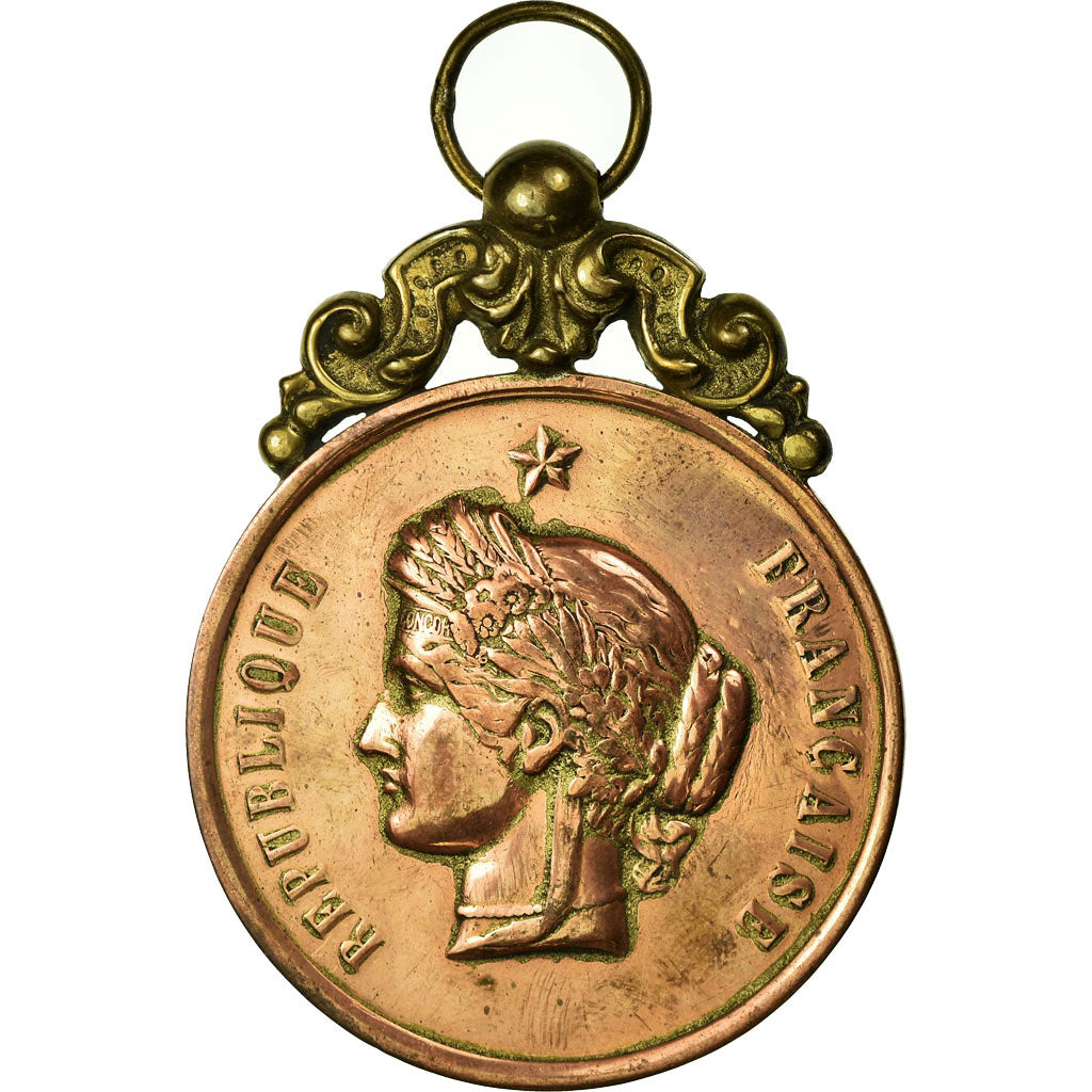 França, Medal, Festival de Musique de Quiévrechain, 1894, EF(40-45), Cobre