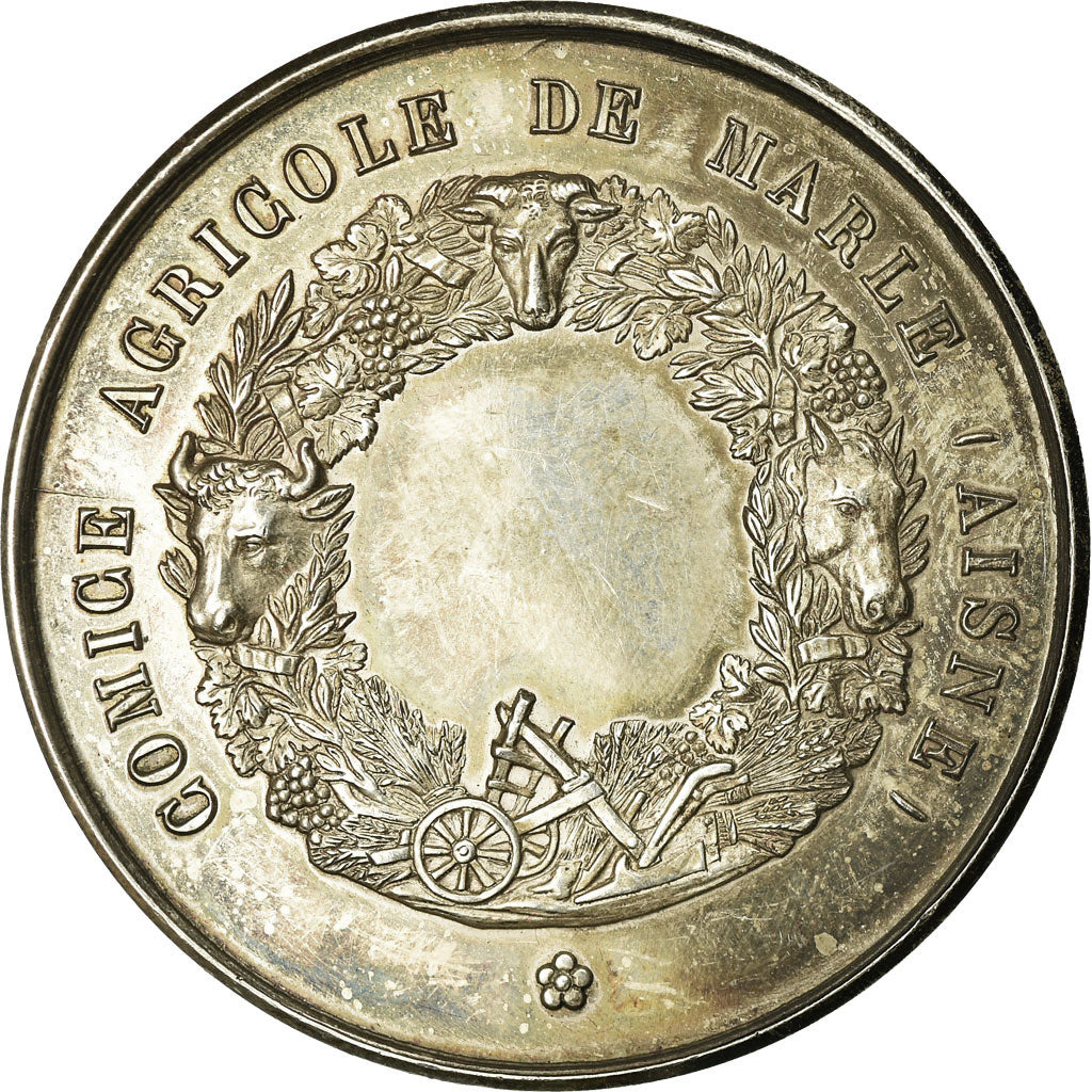 France, Medal, Comice Agricole de Marle, Aisne, MS(63), Silver